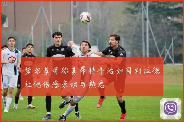 努尔基奇称基昂特乔治如同利拉德让他倍感亲切与熟悉
