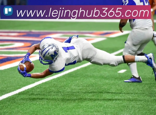 乐竟体育平台生态图